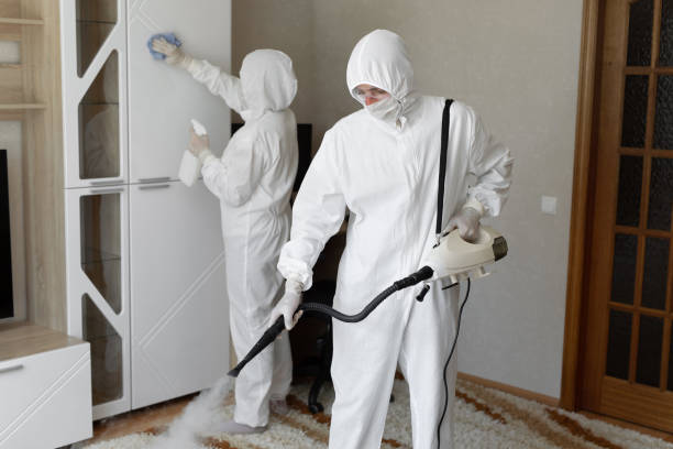 Affordable Sewage Cleanup solutions in Stuart, VA